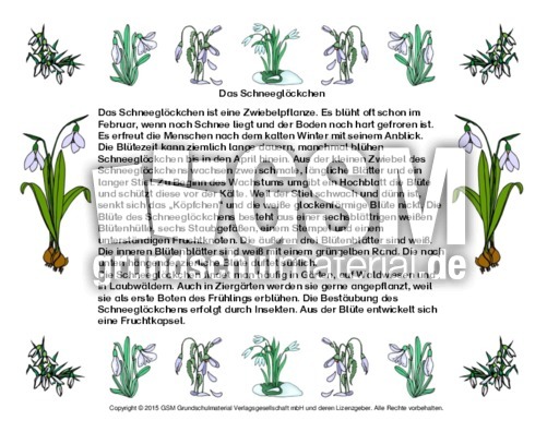 Abschreibtext-Schneeglöckchen.pdf